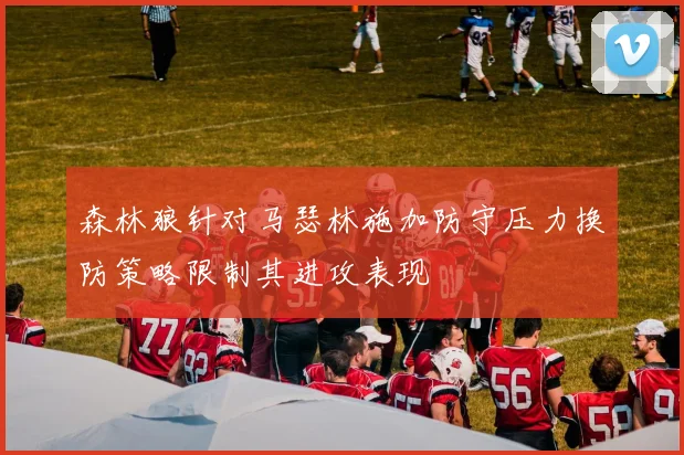 森林狼针对马瑟林施加防守压力换防策略限制其进攻表现